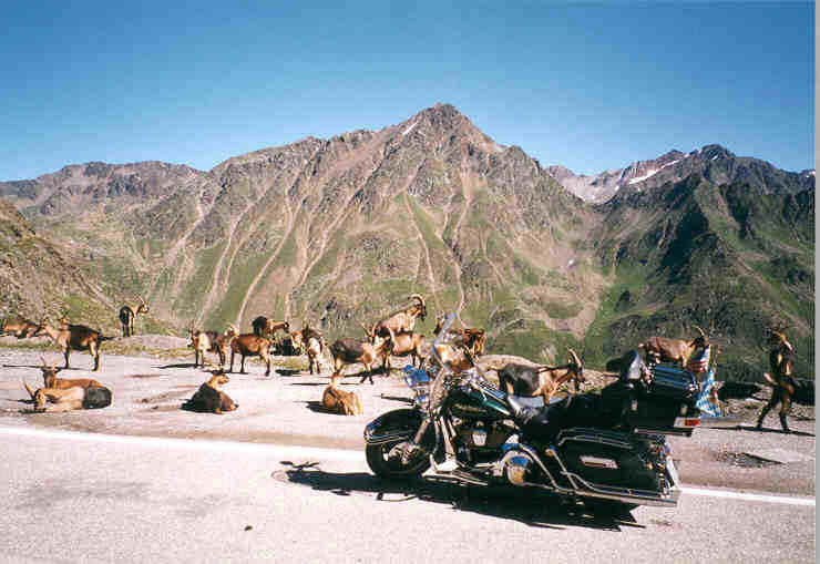 Auf dem Weg zum Timmelsjoch