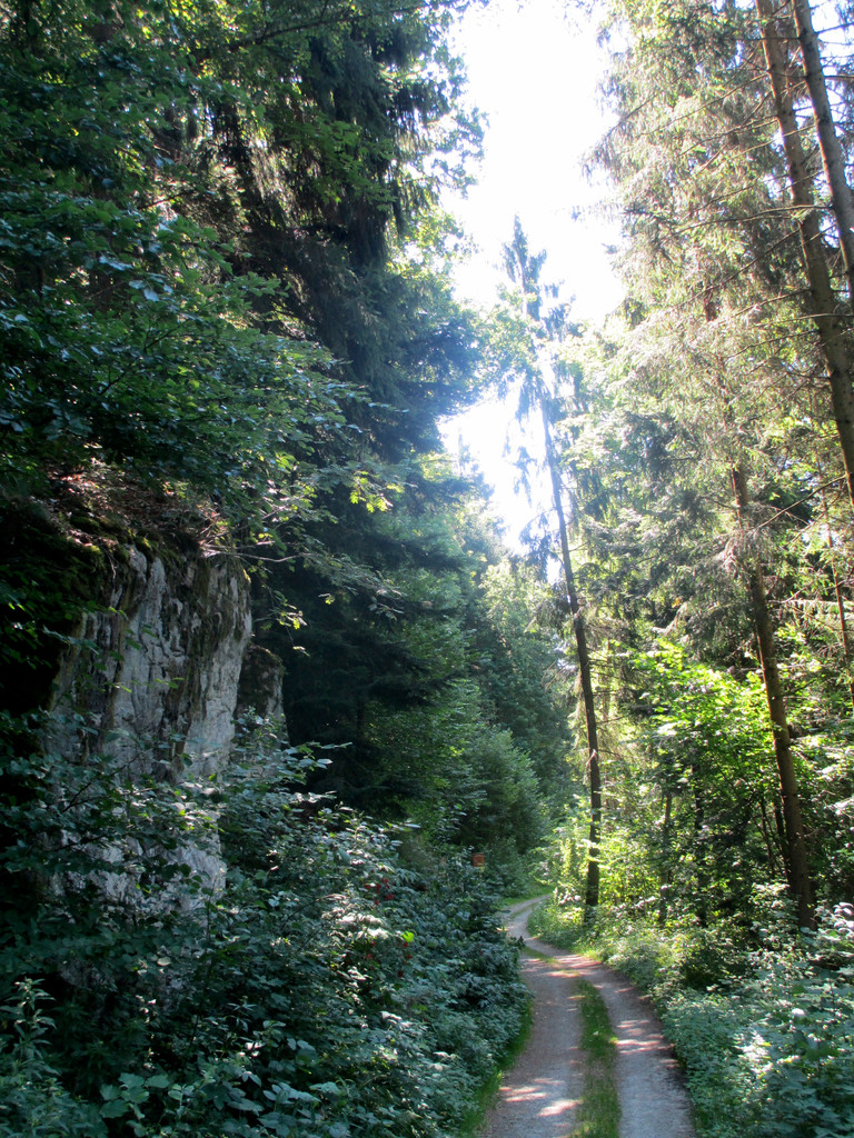 Bischof-Firmian-Wanderweg, Rannatal