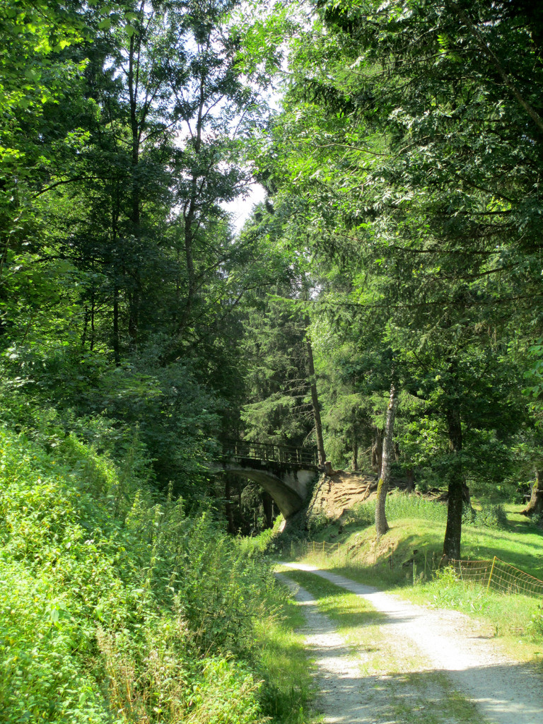 Waldweg ab Untergriesbach zum Griesebach