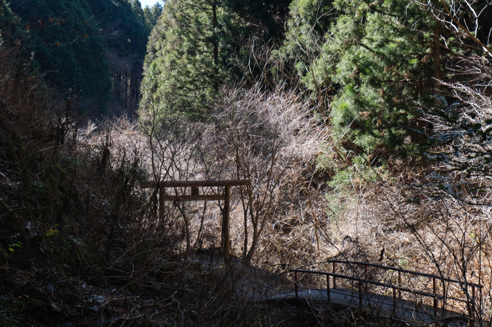 登っていくうちに気持ちが整ってくる