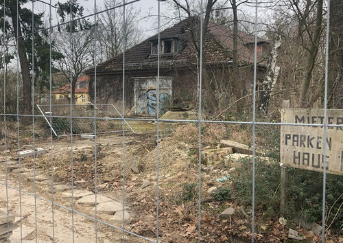 18.2.2024: Ebenso in diesem Bereich mit Zauneidechsen-Vorkommen.