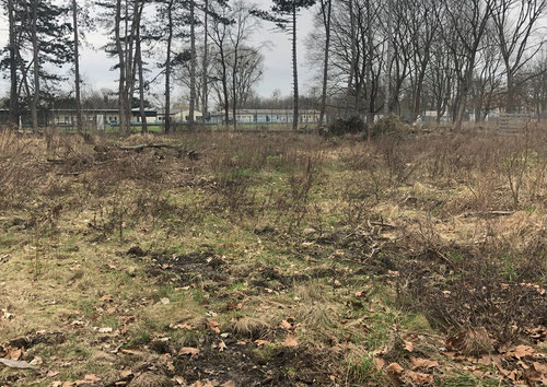 18.2.2024: Auf dieser Fläche wurde bereits vor mehr als zwei Jahren abholzt - gebaut wurde bis bis heute nichts.