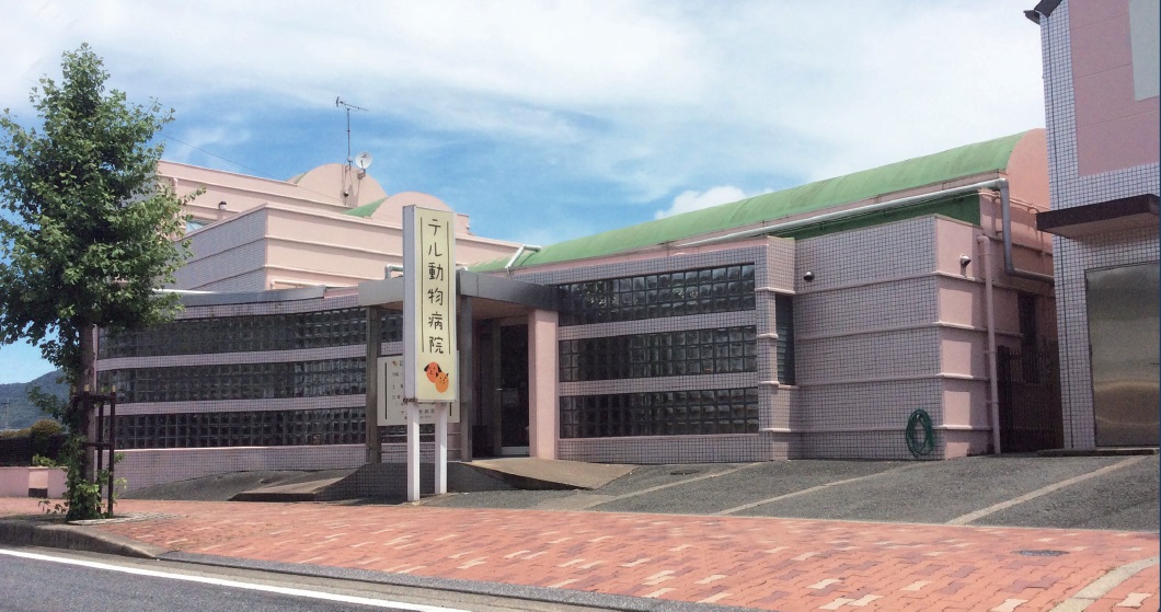 株式会社Ｖｅｎｅｔ