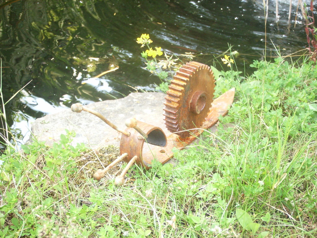 Die Schnecke am Gartenteich