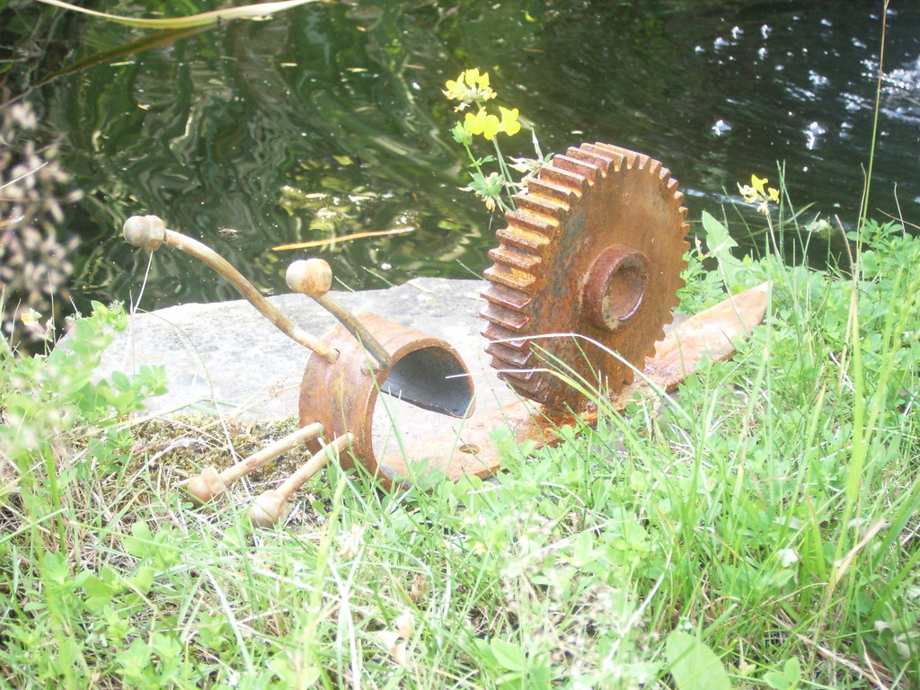 Die Schnecke am Gartenteich