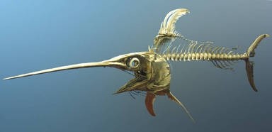 Schwertfisch Skulptur Und Foto Vorlage Zum Vergr 246 223 Ern Bitte Auf Die Bilder Klicken Rostikal