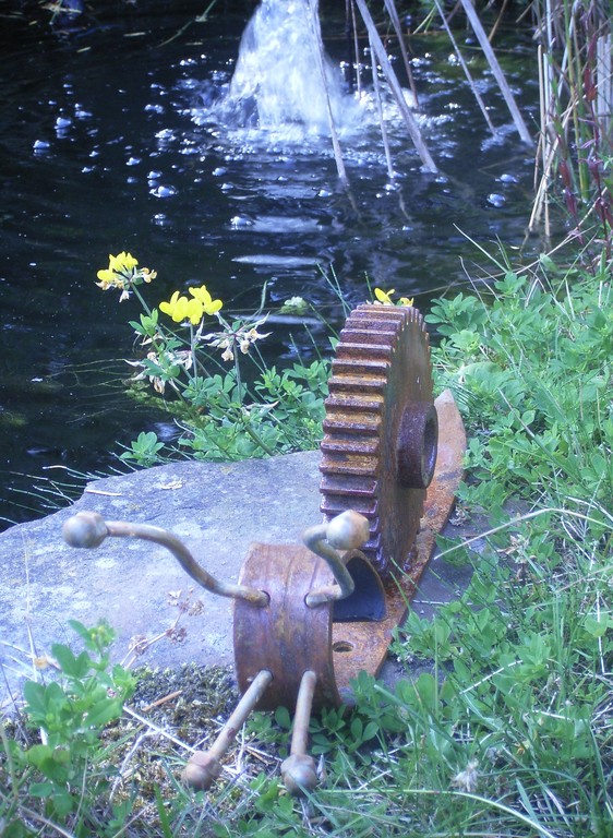 Die Schnecke am Gartenteich