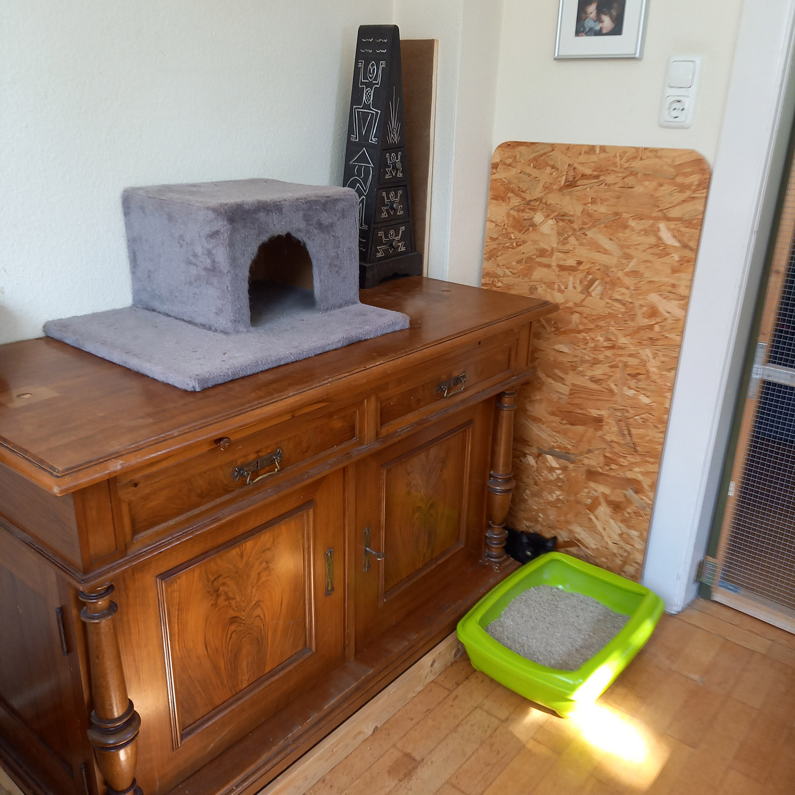 Unsere Pflegestellen - katze in Not