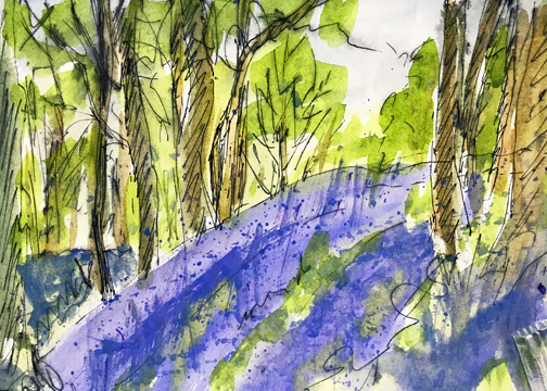 Bluebell Hill 7x5in 