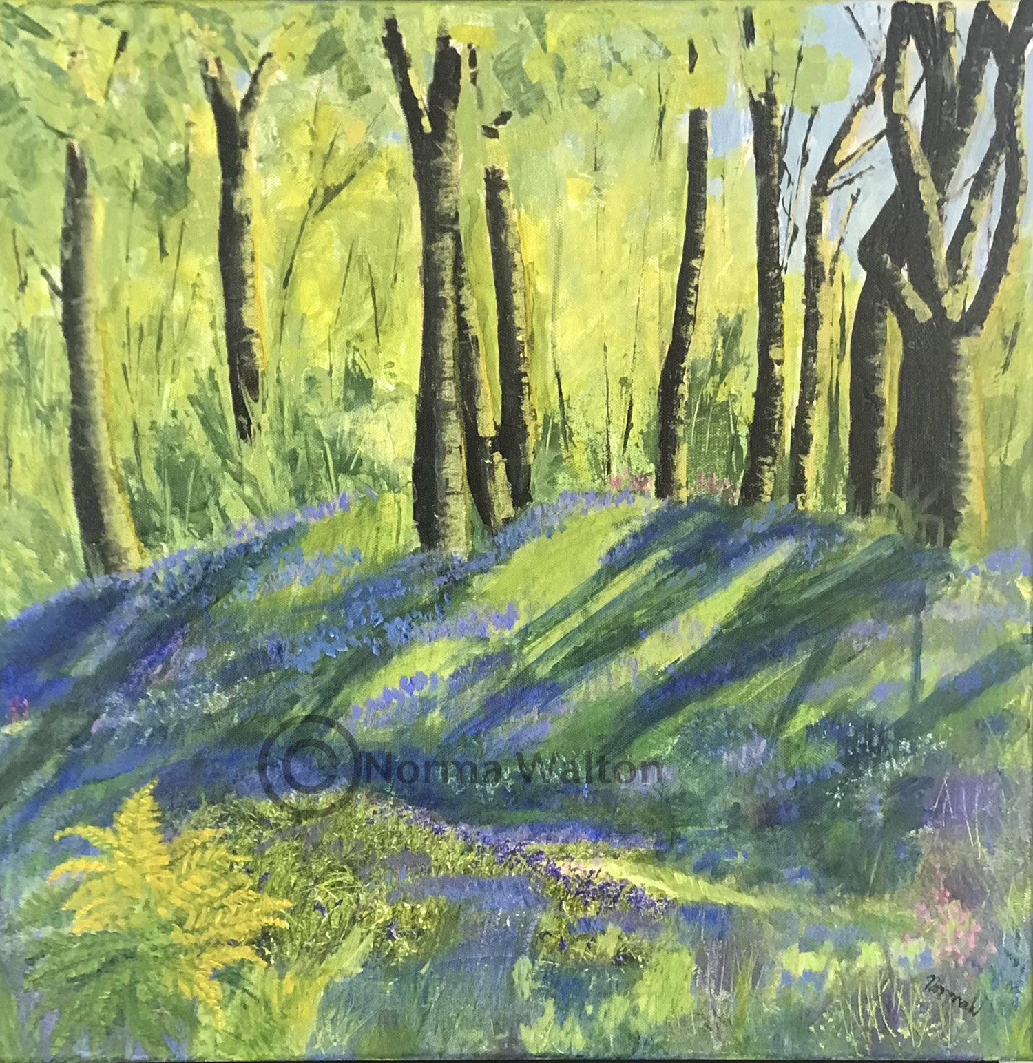 Blackbury Camp Bluebells