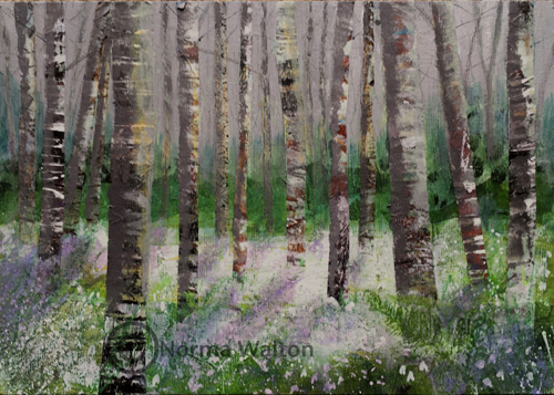 The Sidmouth Society of Artist Summer Exhibition