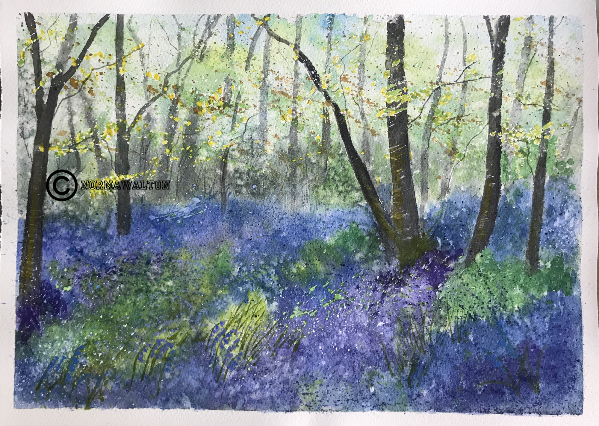 Spring Woodland, sold,only available as prints