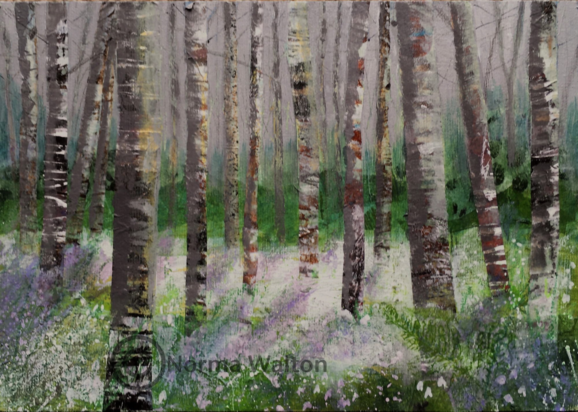 Snowdrop Woods