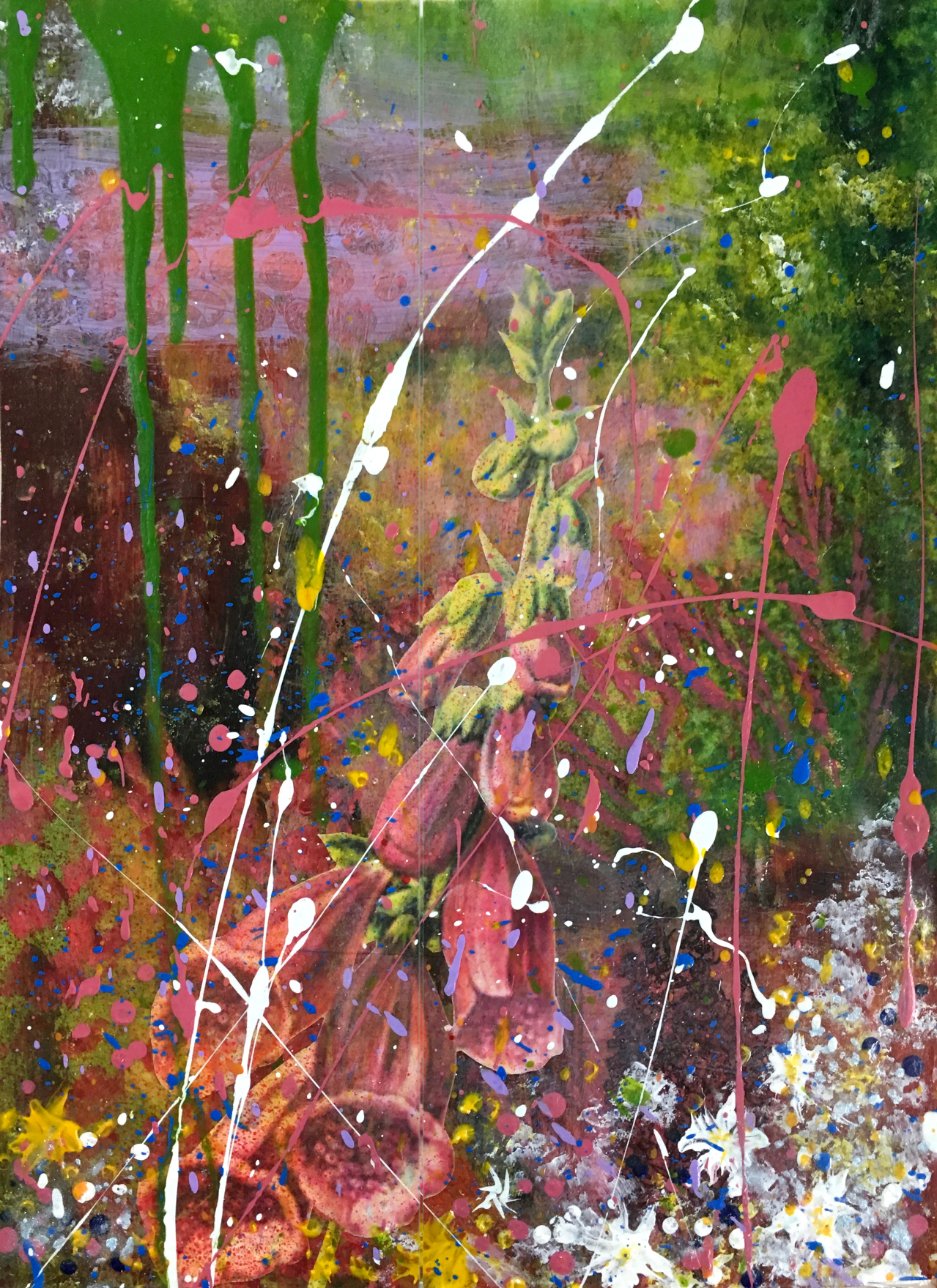 Devon Colours of Summer 1-collage