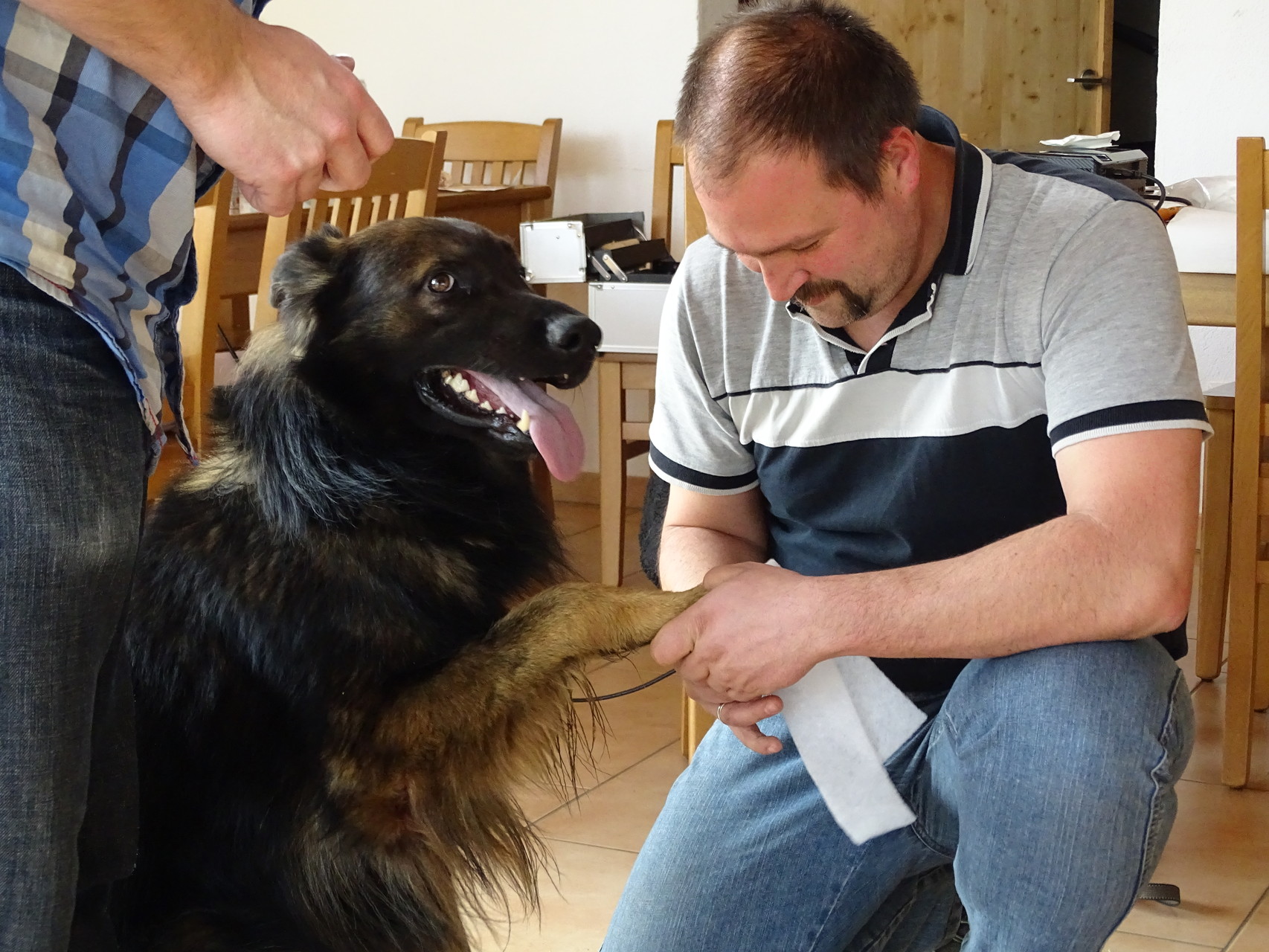 14.11.2015 Erste Hilfe Kurs für den Hund mit Markus Jauß