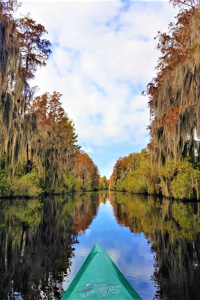 Okefenokee Swamp