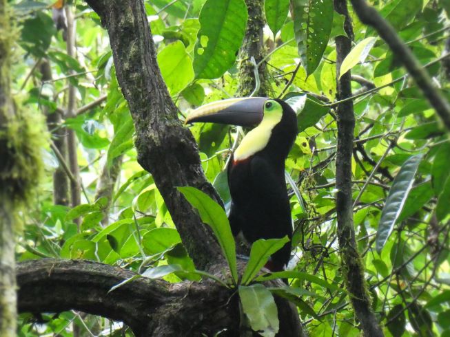 Costa Rica 2 Wochen Route + Reisetipps