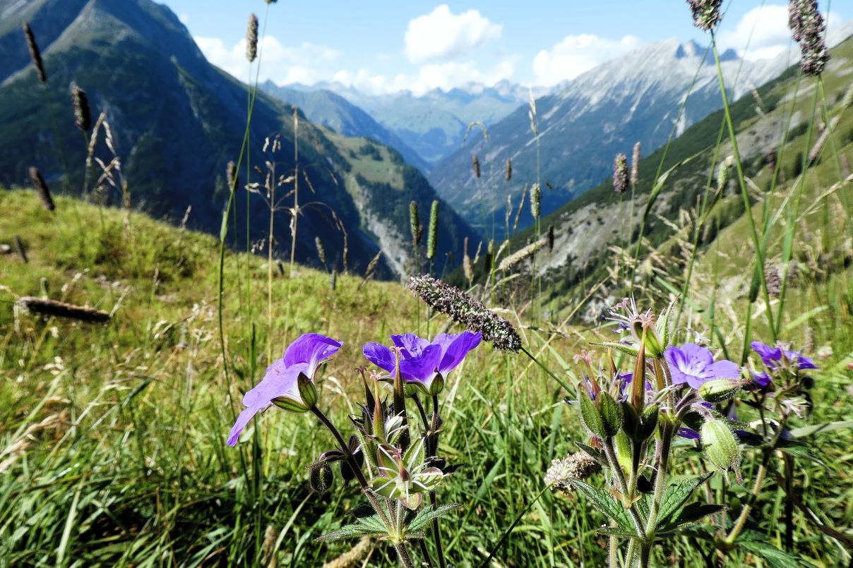 Alpenüberquerung E5 - Oberstdorf Meran in 6 Etappen