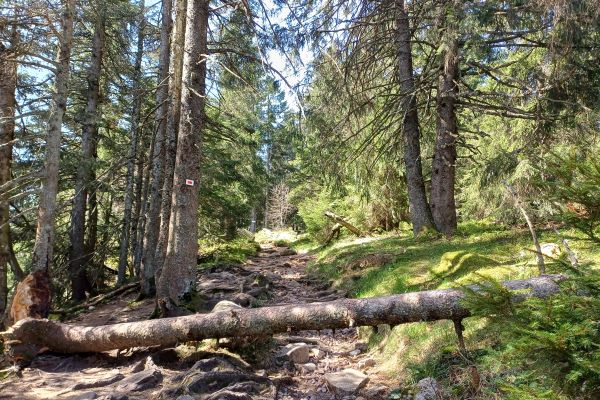 Wandern am Lac Blanc