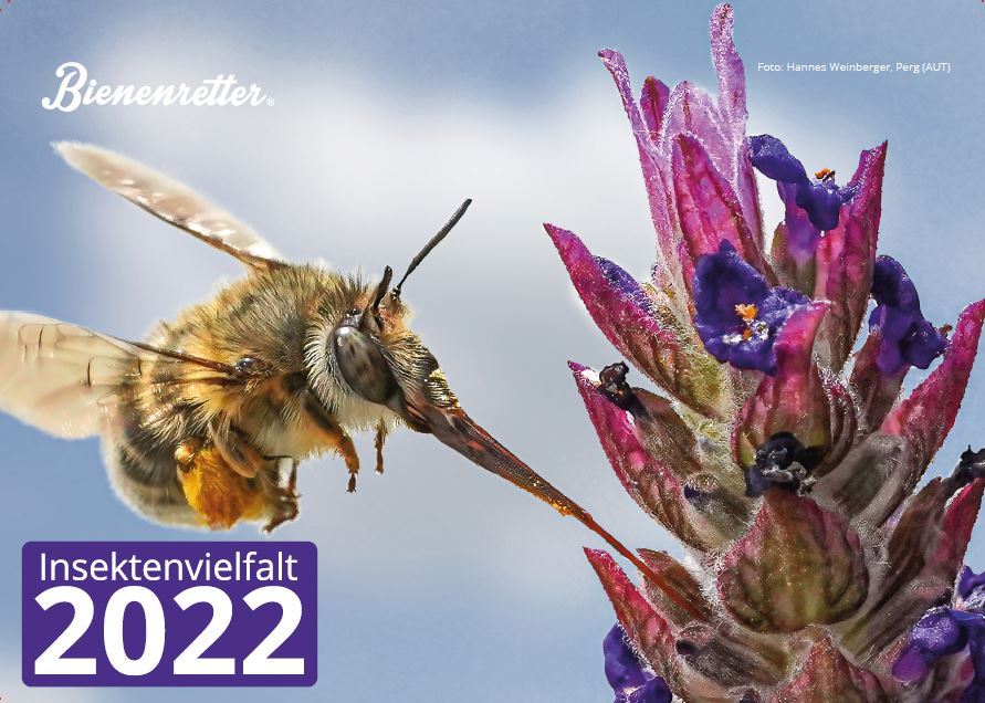 Der Bienenretter Charity-Kalender 2022 zeigt fastzinierende Einblicke in die Insektenvielfalt