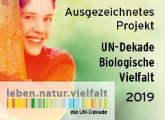 Erneute Auszeichnung für Bienenretter UN-Dakade Biologische Vielfalt 2019-2020