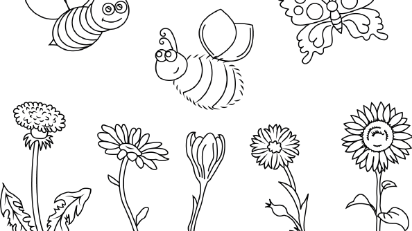 DIY-Ideen zum Selbermachen - Bienenretter Das Original!