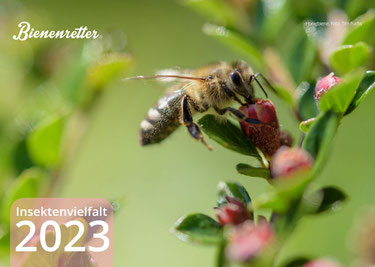 Bienenretter Charity-Fotokalender 2023 „Insektenvielfalt“ – Ein Kalender, der Sinn stiftet