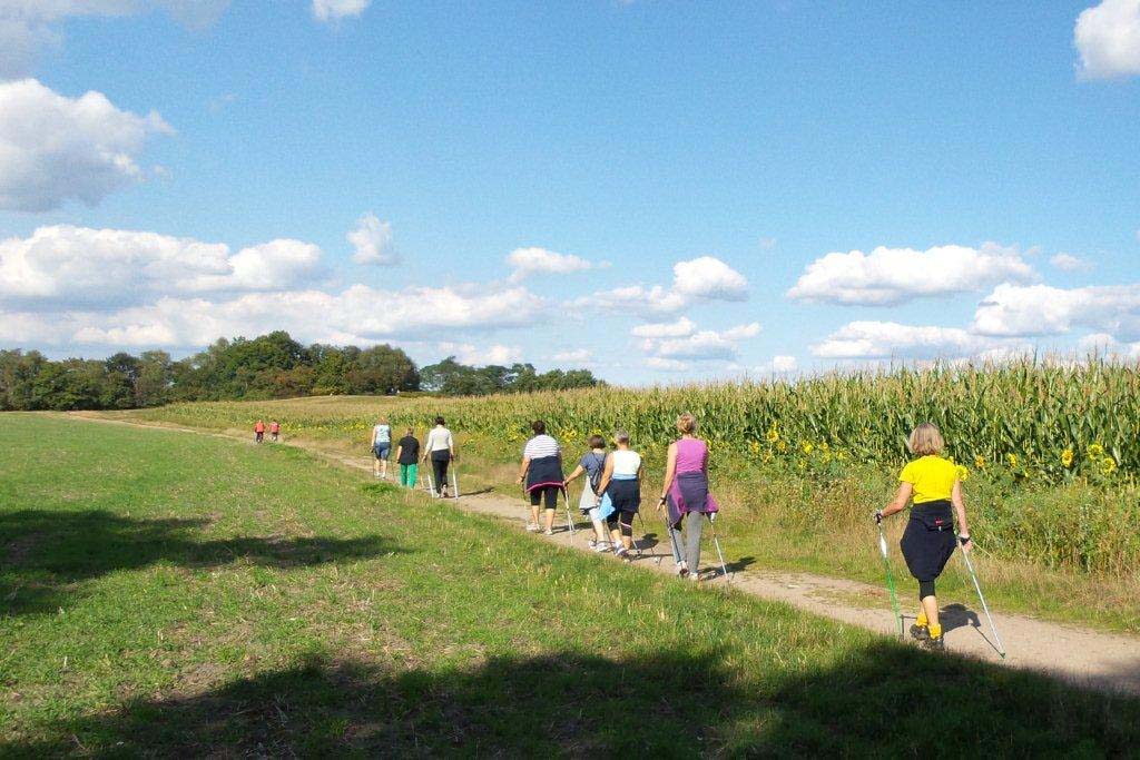Nordic Walking Kurs Syke