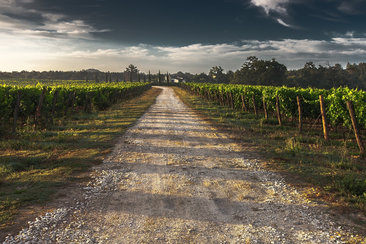 Quiz 21 : les Grands Crus Classés de Bordeaux