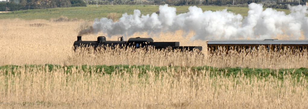 Trenino verde