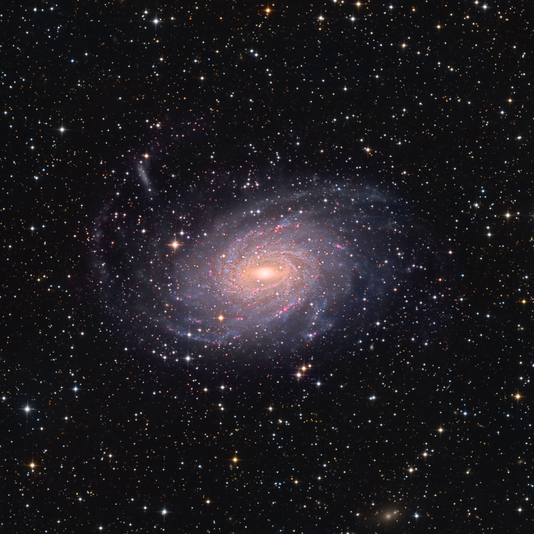 NGC 6744, T355, Sadr Chili, Arnaud