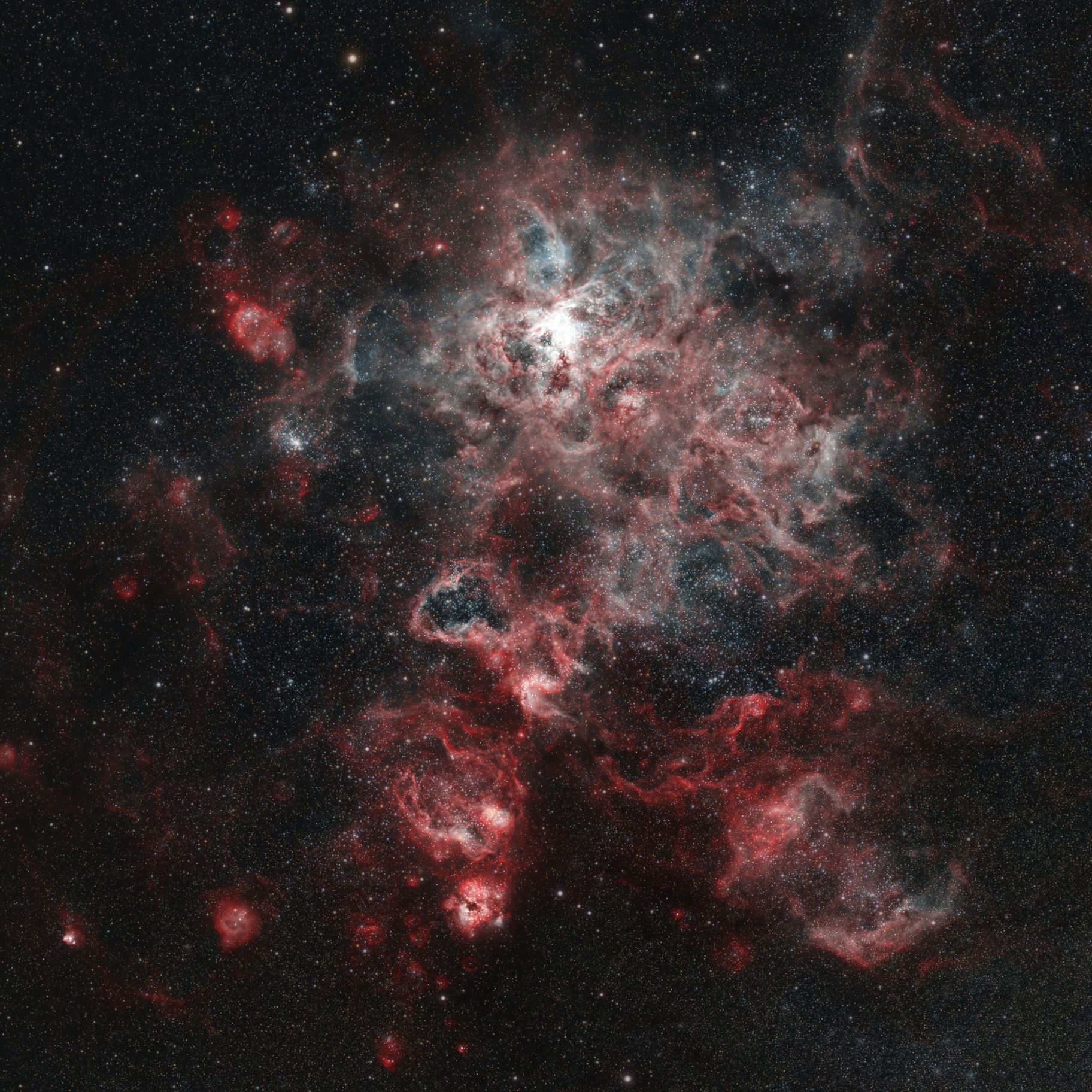 NGC 2070, nébuleuse de la Tarentule, Sadr Chili