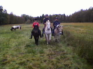 gemeinsam entspannt in der Natur reiten