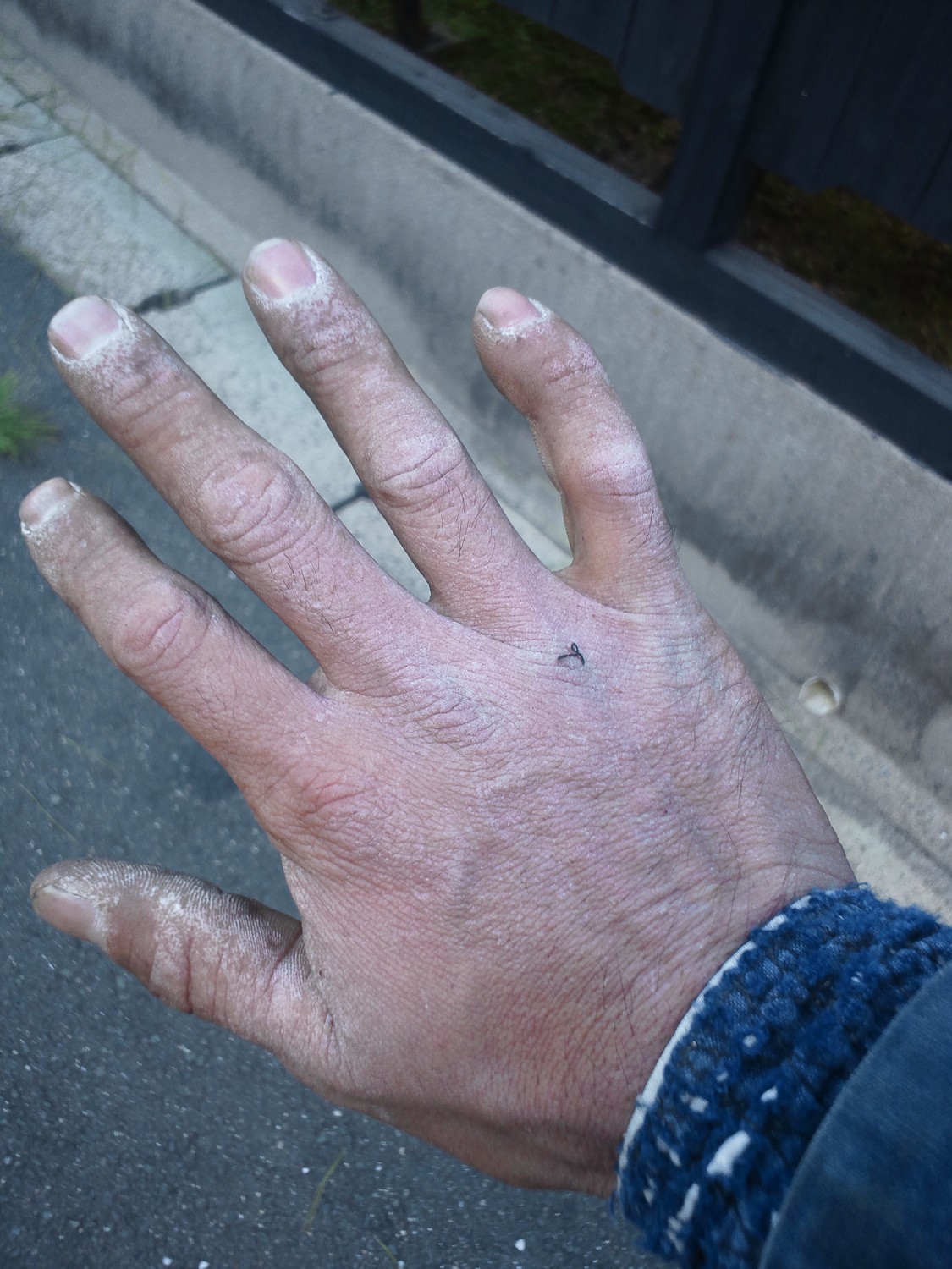 汚い手ですみません 愛知県 豊橋市 庭 造園 外構 設計 施工 手入れ