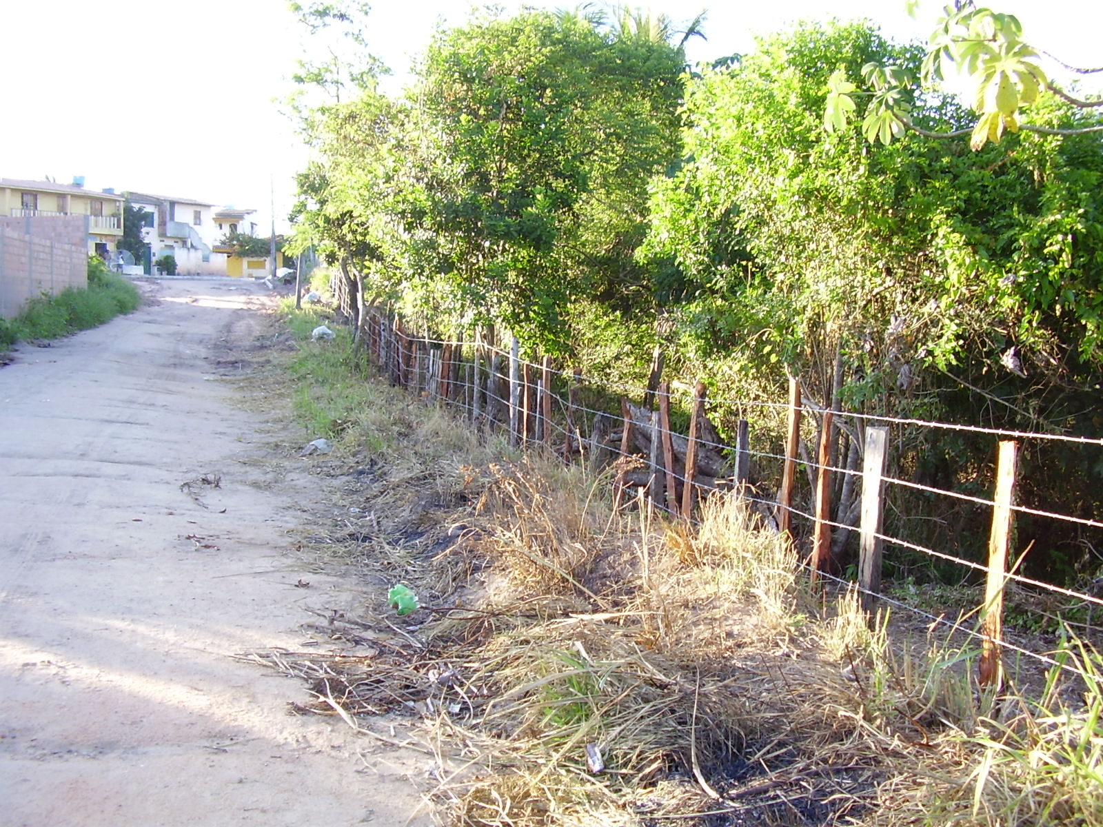 fence on the land