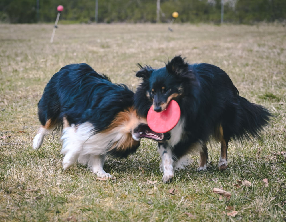 Sport auf dem Campingplatz 