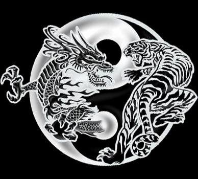 Agile Haltung und die 12 Prinzipien der Shaolin