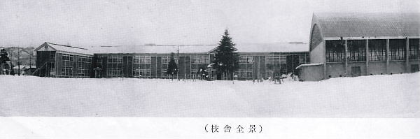1963.02月撮影の新井中学校:この敷地は、現在の新井小学校です。ヒマラヤ杉の奥が「職員玄関」。