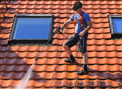 Dachreinigung inklusive - Region Karlsruhe und Baden-Württemberg