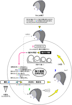 　●施術工程。