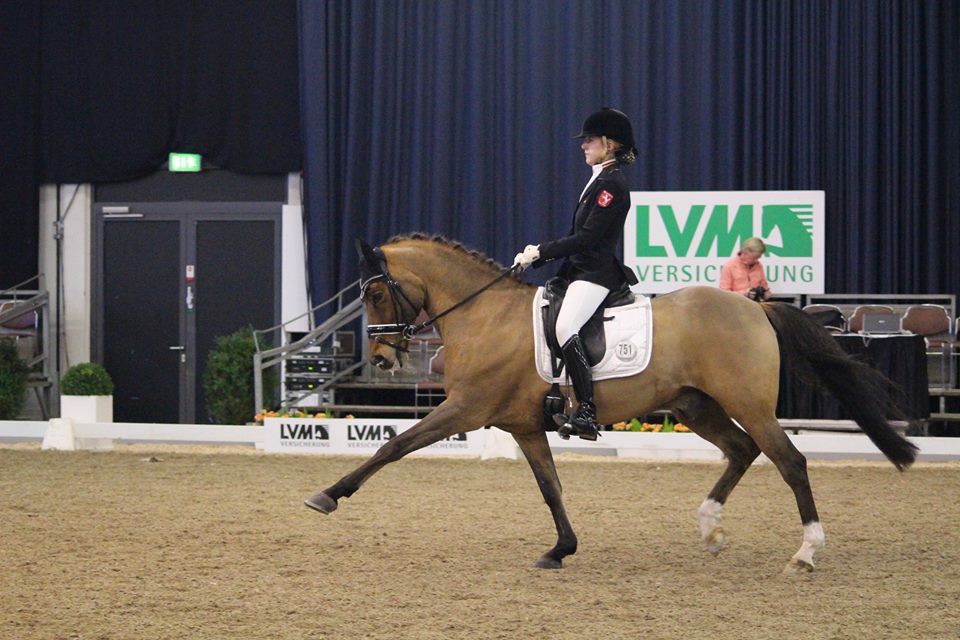 K+K Cup 2015 - Münster