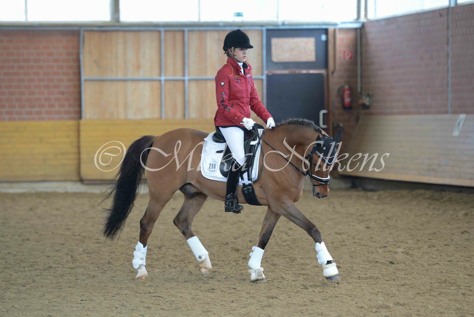 Ponyturnier Hamminkeln 