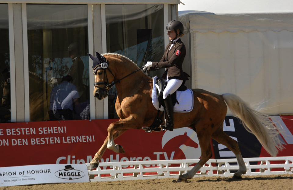 Hambuger Derby - Finale (Golden Gate N)