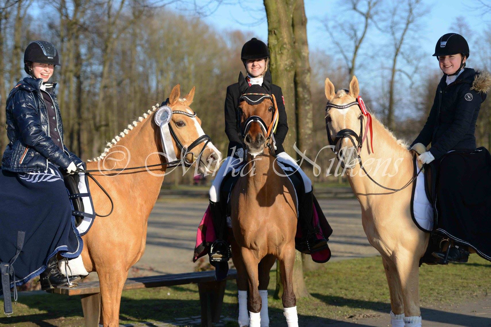 Equiva Dressurgala Schloss Wickrath - Mönchengladbach