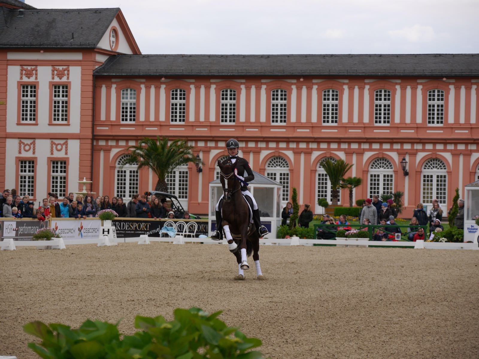 Pfingstturnier Wiesbaden