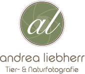 Neuigkeiten