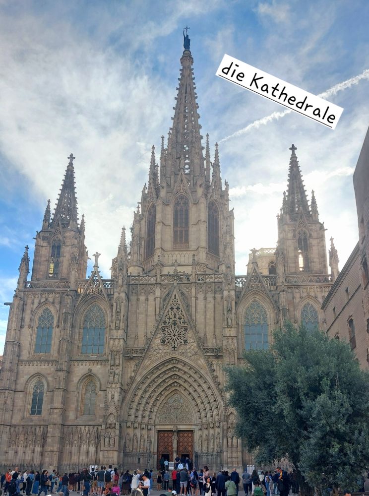 Die Kathedrale