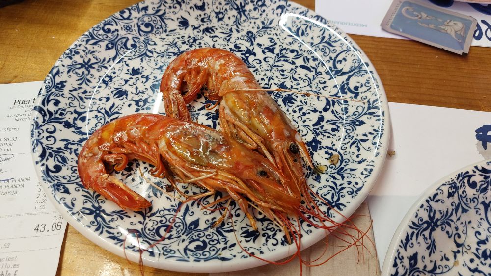 Gambas