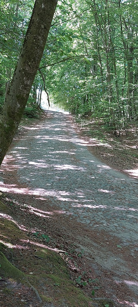 Radweg