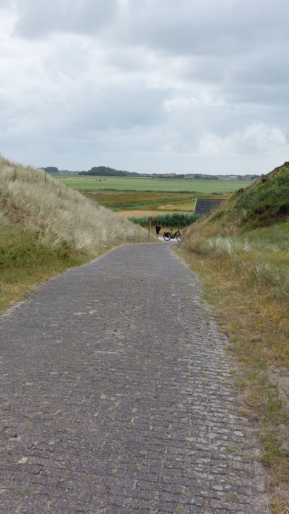 Radwege durch die Dünen